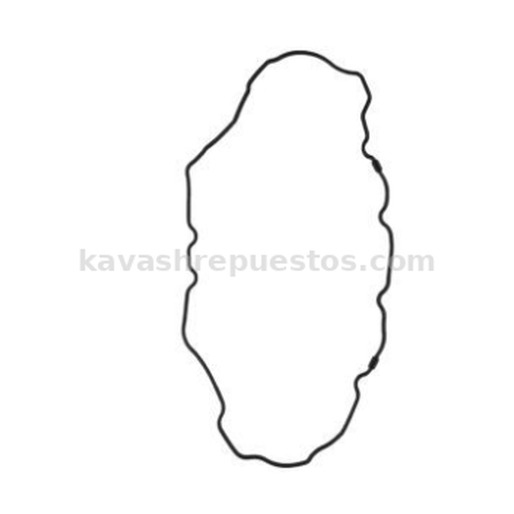 Empaque Carter Escape 3.0 07/12, Fusion 3.0 06/12 KAVASH