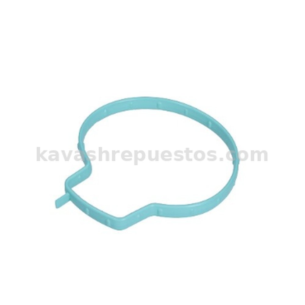 Empaque Cuerpo Aceleracion Ecosport 2.0 14/19 KAVASH