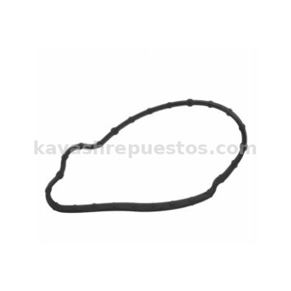Empaque Bomba Alta Explorer 2,3 KAVASH