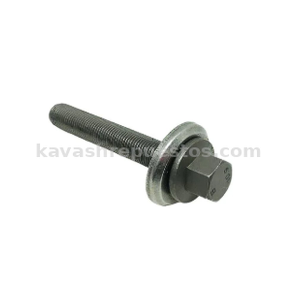 Tornillo Polea Damper Ecosport 1.5 18/21 KAVASH