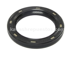 Reten Arbol Levas Fiesta 1.6 11/19 KAVASH