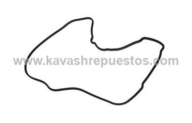 Empaque Cárter de Caja Ford Edge 3.5 2007-2014 - FOMOCO 7T4Z7F396A | KAVASH Repuestos Cali