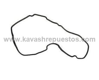 Empaque Tapa de Caja Ford Escape 2.0 2013-2020 - FOMOCO CV6Z7F396A | KAVASH Repuestos Cali