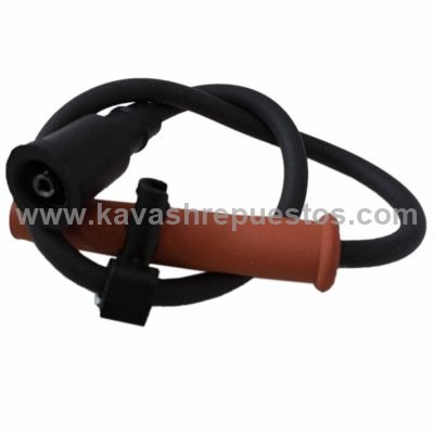 Cables de Alta Ford F150 6.2 2011-2014 - MOTORCRAFT WR6121 | KAVASH Repuestos Cali
