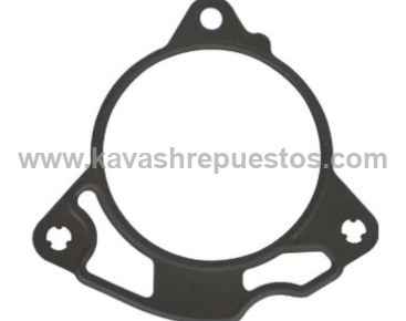 Empaque Bomba de Agua Ford Fusion 3.0 2007-2012 - FOMOCO 9L8Z8507A | KAVASH Repuestos Cali