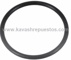 Oring Bomba de Agua Ford F150 3.5 2011-2023 - FOMOCO BR3Z8527A | KAVASH Repuestos Cali